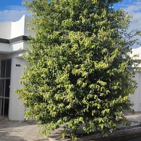 Villa Agradable casa con piscina en tierra caliente Flandes Exterior foto
